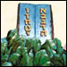 The Story of Shavuot